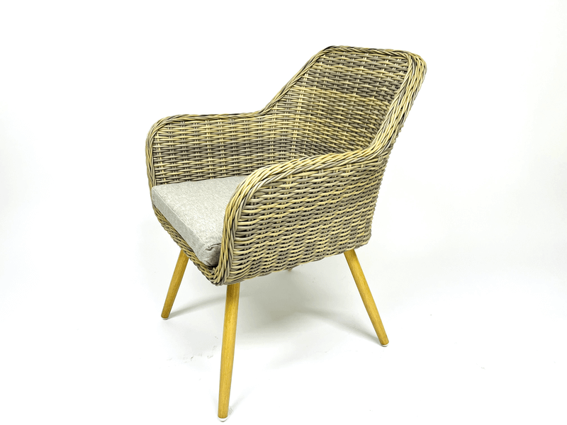 Plastic Rattan Chair