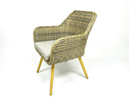 Plastic Rattan Chair