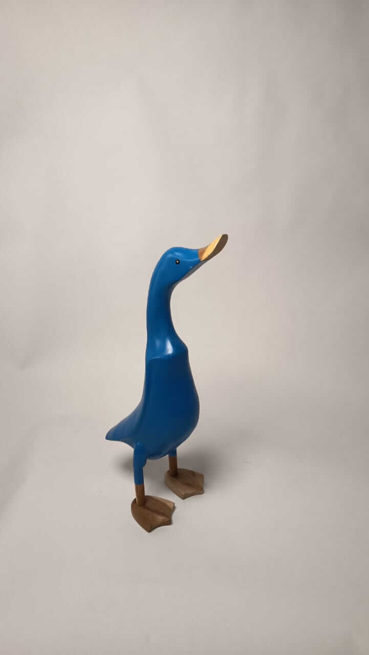 Wooden Duck Blue